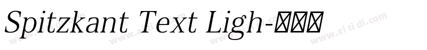 Spitzkant Text Ligh字体转换